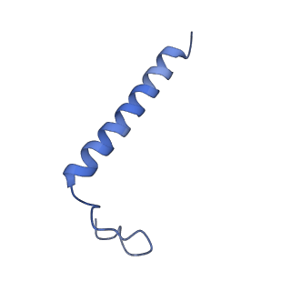 0850_6l7p_Q_v1-1
cryo-EM structure of cyanobacteria NDH-1LdelV complex
