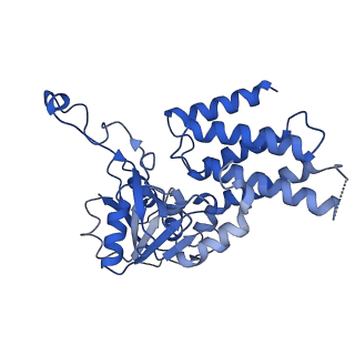 23209_7l70_C_v1-1
The eukaryotic translation initiation factor 2B from Homo sapiens in its apo form