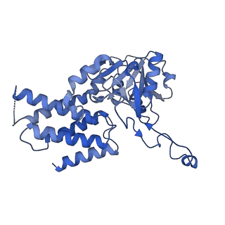 23209_7l70_D_v1-1
The eukaryotic translation initiation factor 2B from Homo sapiens in its apo form