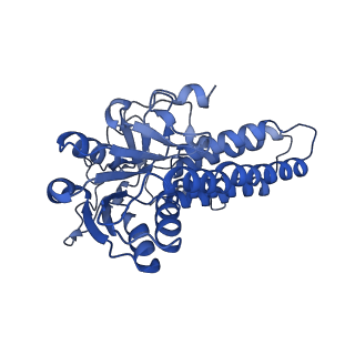 23209_7l70_E_v1-1
The eukaryotic translation initiation factor 2B from Homo sapiens in its apo form