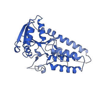 23209_7l70_G_v1-1
The eukaryotic translation initiation factor 2B from Homo sapiens in its apo form