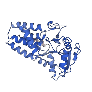 23209_7l70_H_v1-1
The eukaryotic translation initiation factor 2B from Homo sapiens in its apo form