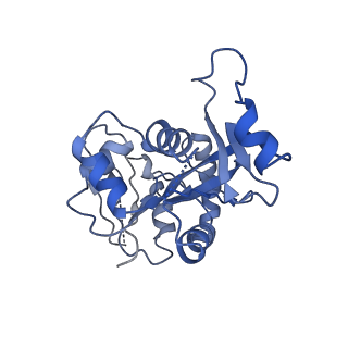 23209_7l70_J_v1-1
The eukaryotic translation initiation factor 2B from Homo sapiens in its apo form