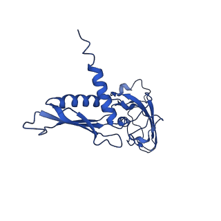 23210_7l7b_A_v1-1
Clostridioides difficile RNAP with fidaxomicin