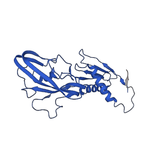 23210_7l7b_B_v1-1
Clostridioides difficile RNAP with fidaxomicin