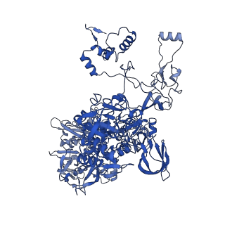 23210_7l7b_C_v1-1
Clostridioides difficile RNAP with fidaxomicin
