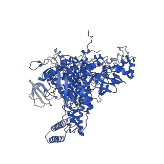 23210_7l7b_D_v1-1
Clostridioides difficile RNAP with fidaxomicin