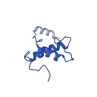 23210_7l7b_E_v1-1
Clostridioides difficile RNAP with fidaxomicin