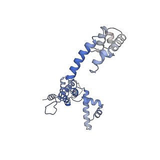 23210_7l7b_F_v1-1
Clostridioides difficile RNAP with fidaxomicin