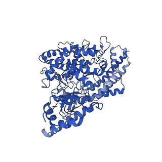 23211_7l7f_D_v1-2
Cryo-EM structure of human ACE2 receptor bound to protein encoded by vaccine candidate BNT162b1