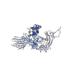 23215_7l7k_A_v1-2
Cryo-EM structure of protein encoded by vaccine candidate BNT162b2