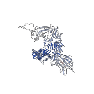 23215_7l7k_B_v1-2
Cryo-EM structure of protein encoded by vaccine candidate BNT162b2