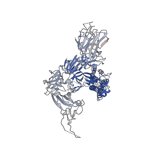 23215_7l7k_C_v1-2
Cryo-EM structure of protein encoded by vaccine candidate BNT162b2