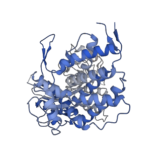 23217_7l7s_H_v1-0
Human mitochondrial chaperonin mHsp60
