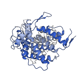 23217_7l7s_I_v1-0
Human mitochondrial chaperonin mHsp60