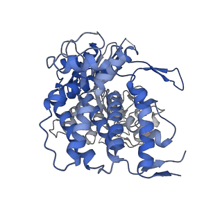 23217_7l7s_J_v1-0
Human mitochondrial chaperonin mHsp60