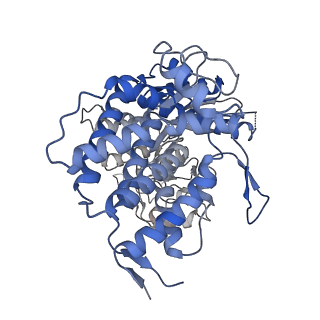 23217_7l7s_K_v1-0
Human mitochondrial chaperonin mHsp60