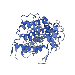 23217_7l7s_L_v1-0
Human mitochondrial chaperonin mHsp60
