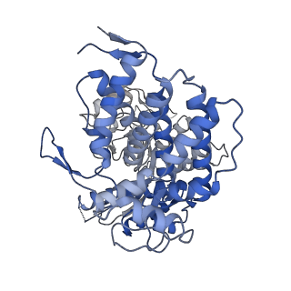 23217_7l7s_N_v1-0
Human mitochondrial chaperonin mHsp60