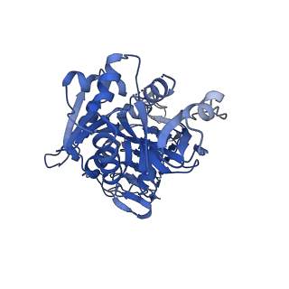 7443_7l7g_A_v1-0
Electron cryo-microscopy of the eukaryotic translation initiation factor 2B from Homo sapiens (updated model of PDB ID: 6CAJ)