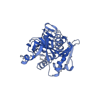 7443_7l7g_B_v1-0
Electron cryo-microscopy of the eukaryotic translation initiation factor 2B from Homo sapiens (updated model of PDB ID: 6CAJ)