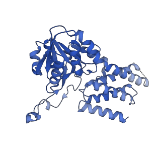 7443_7l7g_C_v1-0
Electron cryo-microscopy of the eukaryotic translation initiation factor 2B from Homo sapiens (updated model of PDB ID: 6CAJ)