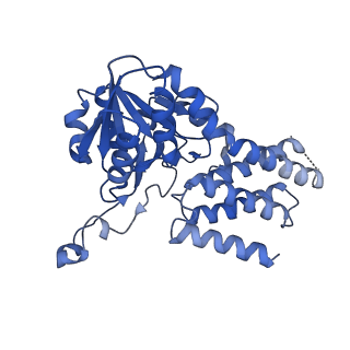 7443_7l7g_C_v1-1
Electron cryo-microscopy of the eukaryotic translation initiation factor 2B from Homo sapiens (updated model of PDB ID: 6CAJ)