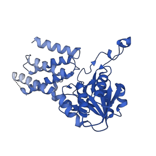 7443_7l7g_D_v1-1
Electron cryo-microscopy of the eukaryotic translation initiation factor 2B from Homo sapiens (updated model of PDB ID: 6CAJ)