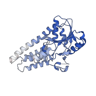 7443_7l7g_G_v1-1
Electron cryo-microscopy of the eukaryotic translation initiation factor 2B from Homo sapiens (updated model of PDB ID: 6CAJ)