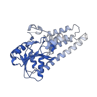 7443_7l7g_H_v1-0
Electron cryo-microscopy of the eukaryotic translation initiation factor 2B from Homo sapiens (updated model of PDB ID: 6CAJ)