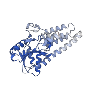 7443_7l7g_H_v1-1
Electron cryo-microscopy of the eukaryotic translation initiation factor 2B from Homo sapiens (updated model of PDB ID: 6CAJ)