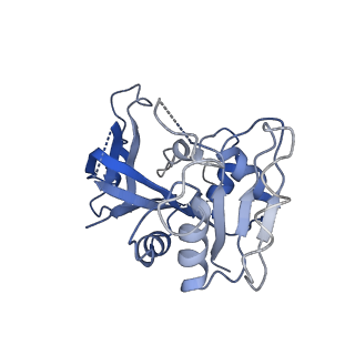 7443_7l7g_I_v1-0
Electron cryo-microscopy of the eukaryotic translation initiation factor 2B from Homo sapiens (updated model of PDB ID: 6CAJ)
