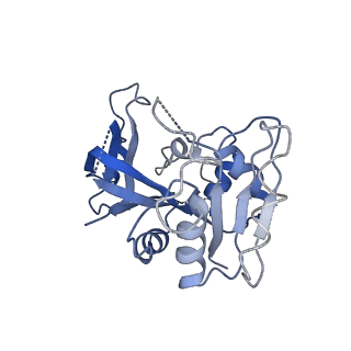 7443_7l7g_I_v1-1
Electron cryo-microscopy of the eukaryotic translation initiation factor 2B from Homo sapiens (updated model of PDB ID: 6CAJ)