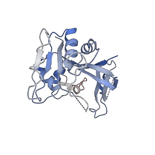 7443_7l7g_J_v1-1
Electron cryo-microscopy of the eukaryotic translation initiation factor 2B from Homo sapiens (updated model of PDB ID: 6CAJ)