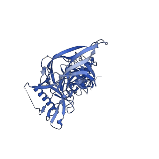 23223_7l86_A_v1-1
BG505 SOSIP MD39 in complex with the polyclonal Fab pAbC-1 from animal Rh.32034 (Wk26 time point)