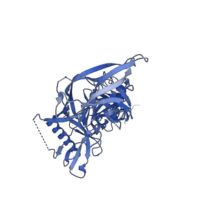23223_7l86_A_v2-0
BG505 SOSIP MD39 in complex with the polyclonal Fab pAbC-1 from animal Rh.32034 (Wk26 time point)