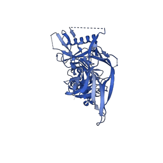 23223_7l86_E_v1-1
BG505 SOSIP MD39 in complex with the polyclonal Fab pAbC-1 from animal Rh.32034 (Wk26 time point)
