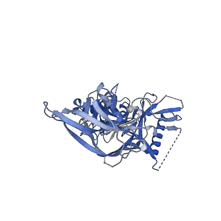 23224_7l87_A_v1-1
BG505 SOSIP MD39 in complex with the polyclonal Fab pAbC-2 from animal Rh.32034 (Wk26 time point)