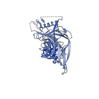 23224_7l87_C_v1-1
BG505 SOSIP MD39 in complex with the polyclonal Fab pAbC-2 from animal Rh.32034 (Wk26 time point)