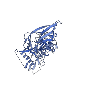 23224_7l87_D_v1-1
BG505 SOSIP MD39 in complex with the polyclonal Fab pAbC-2 from animal Rh.32034 (Wk26 time point)