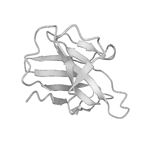 23224_7l87_H_v1-1
BG505 SOSIP MD39 in complex with the polyclonal Fab pAbC-2 from animal Rh.32034 (Wk26 time point)