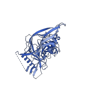 23225_7l88_C_v1-1
BG505 SOSIP MD39 in complex with the polyclonal Fab pAbC-3 from animal Rh.32034 (Wk26 time point)