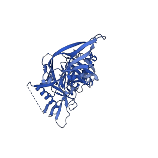 23227_7l8a_C_v1-1
BG505 SOSIP MD39 in complex with the polyclonal Fab pAbC-1 from animal Rh.33104 (Wk26 time point)
