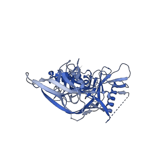 23228_7l8b_A_v1-1
BG505 SOSIP MD39 in complex with the polyclonal Fab pAbC-2 from animal Rh.33104 (Wk26 time point)