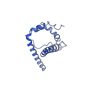 23228_7l8b_D_v1-1
BG505 SOSIP MD39 in complex with the polyclonal Fab pAbC-2 from animal Rh.33104 (Wk26 time point)