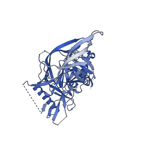 23228_7l8b_E_v1-1
BG505 SOSIP MD39 in complex with the polyclonal Fab pAbC-2 from animal Rh.33104 (Wk26 time point)