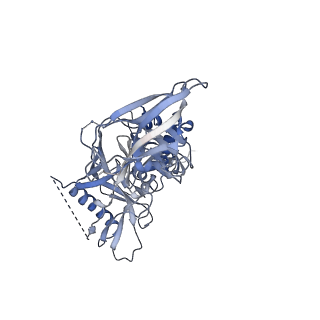23231_7l8e_A_v1-1
BG505 SOSIP.v5.2(7S) in complex with the polyclonal Fab pAbC-1 from animal Rh.33172 (Wk38 time point)
