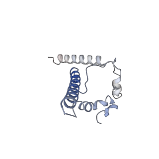 23231_7l8e_D_v1-1
BG505 SOSIP.v5.2(7S) in complex with the polyclonal Fab pAbC-1 from animal Rh.33172 (Wk38 time point)
