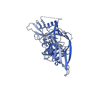 23232_7l8f_E_v1-1
BG505 SOSIP.v5.2(7S) in complex with the polyclonal Fab pAbC-2 from animal Rh.33172 (Wk38 time point)