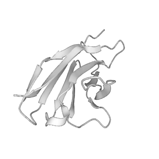 23232_7l8f_L_v1-1
BG505 SOSIP.v5.2(7S) in complex with the polyclonal Fab pAbC-2 from animal Rh.33172 (Wk38 time point)